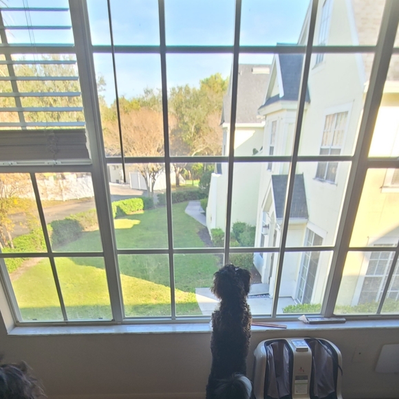 Like this post to be notified when I go live! - Picture 16 of 16